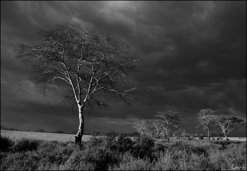 танзания *** фото превью