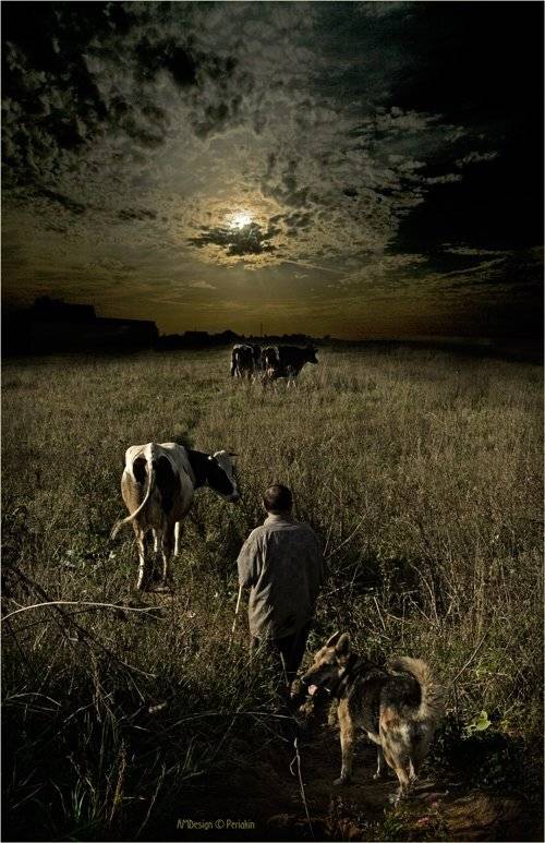 , Виктор Перякин