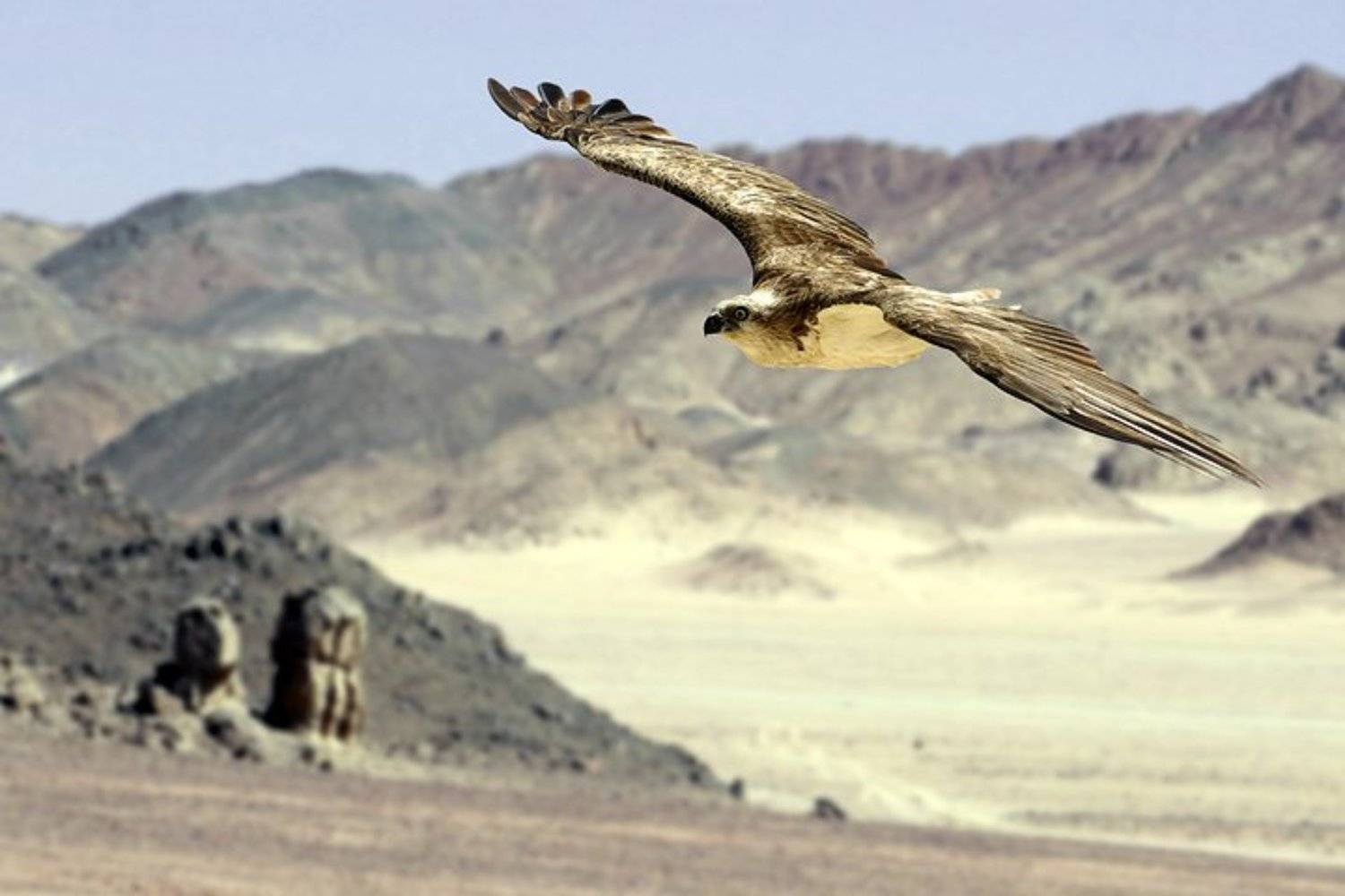 , Андрей Веретенников