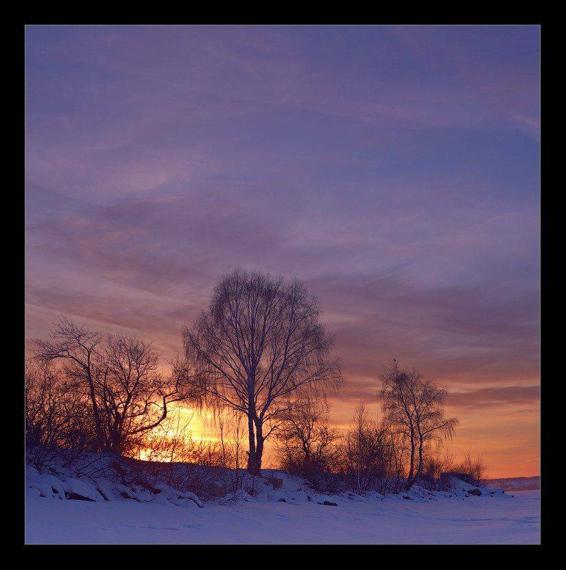 , Данил Ромодин