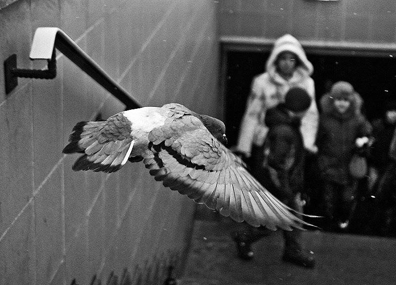 , Максим Юлдашев