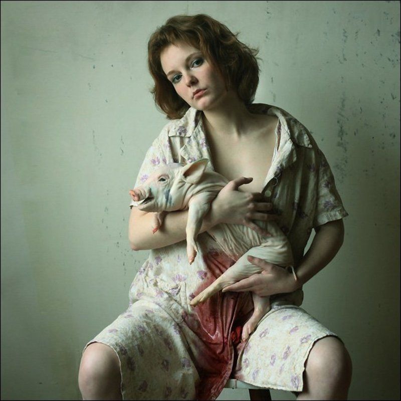 тов. Тюленин иногда чувствовал себя свиньёй и ему снились соответсвующие сны... фото превью