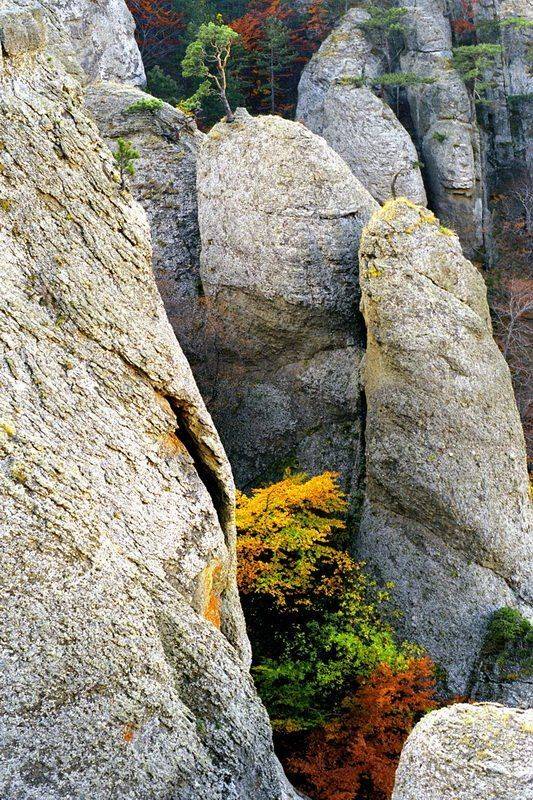 осень,демерджи,скалы., Андрей  Золочевский