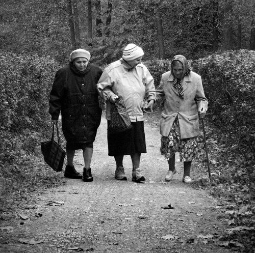 Вместе весело шагать..!