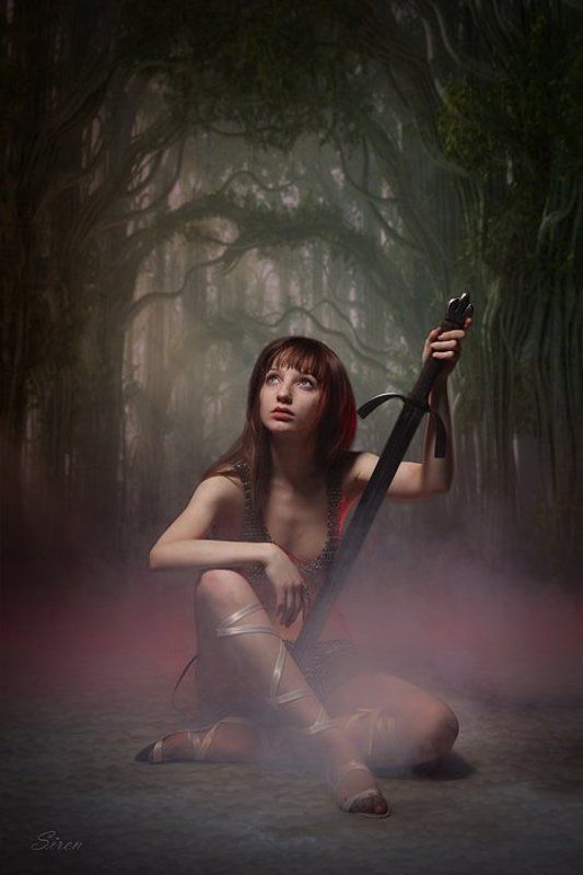 Утро в лесу фото превью