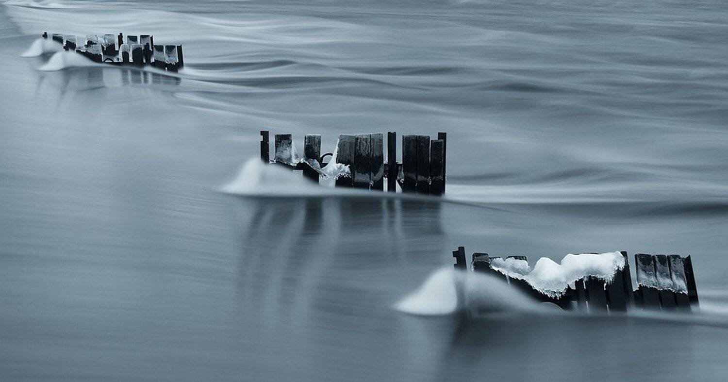 , Максим Евдокимов