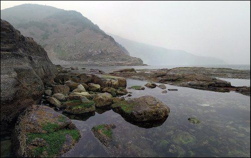 Охотское море. Лето 2008