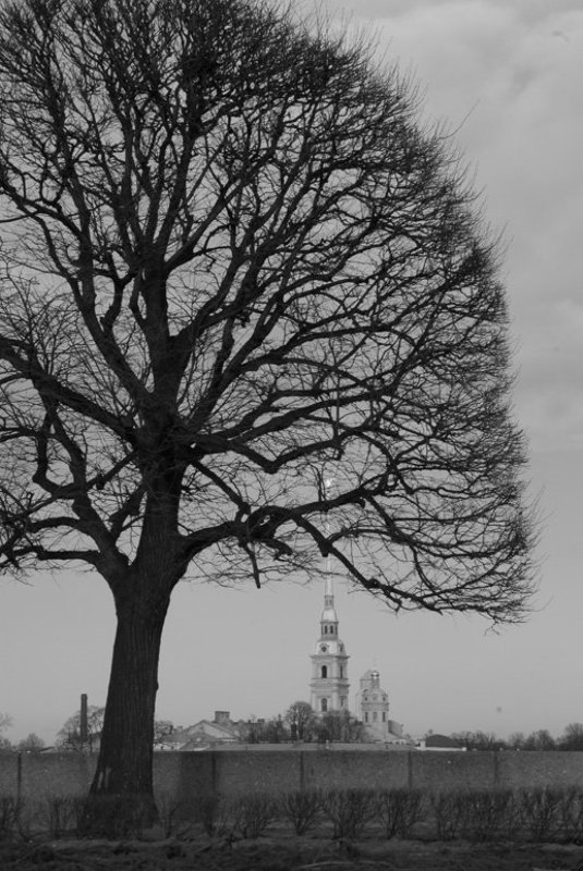 Петербургский силуэт. фото превью