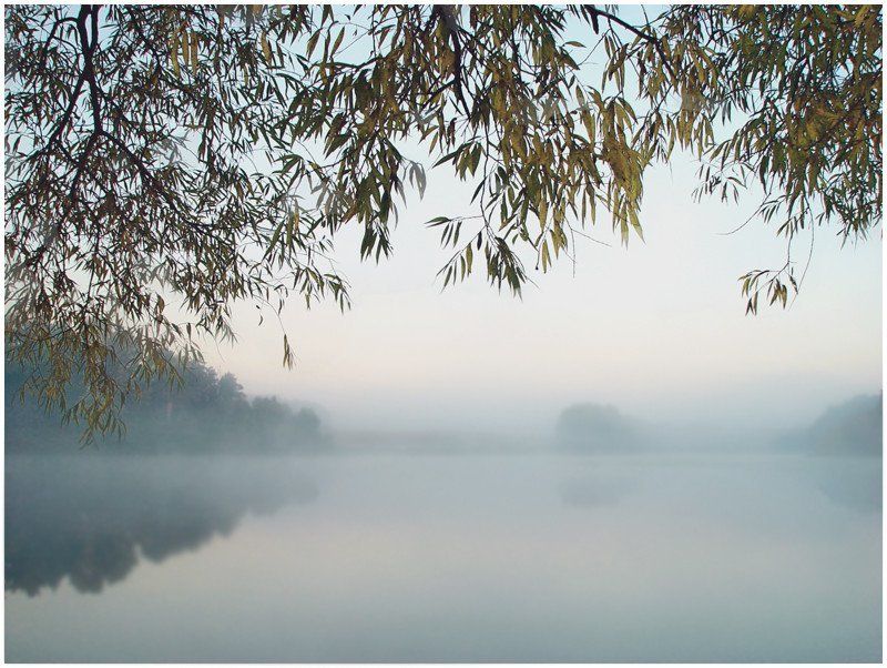 суханово, парк, усадьба, пруд, утро Утро. Сухановский пруд фото превью