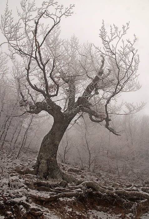 , Юрий Охлопков