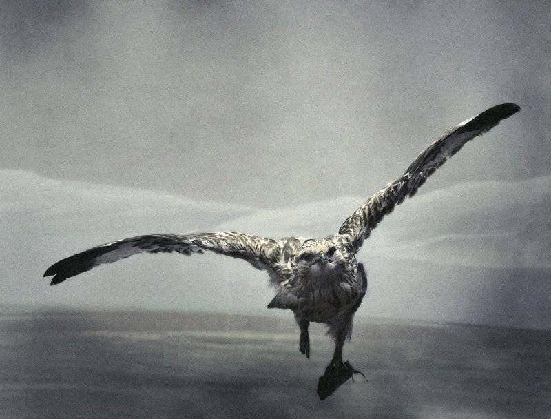 , Лямеборшай Валерия