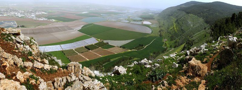 Лоно земли. фото превью