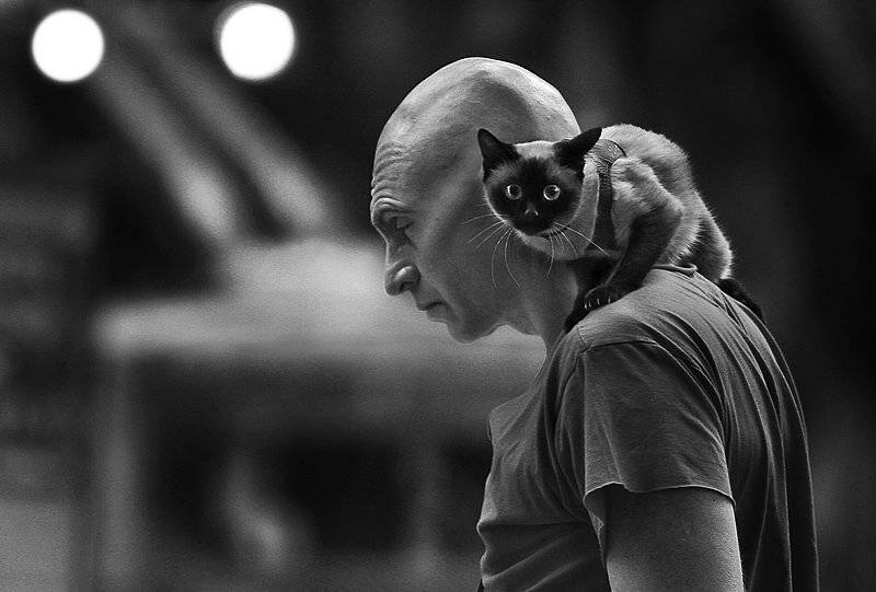 , Максим Юлдашев