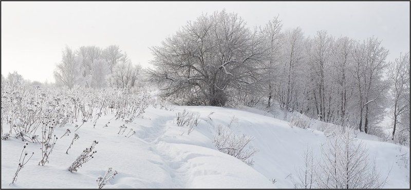 февральский рисунок фото превью