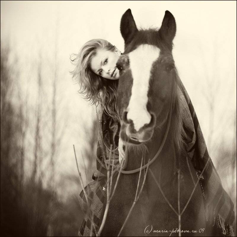 портрет, лошадь, Петрова Мария