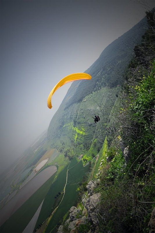 Полёт над весной фото превью