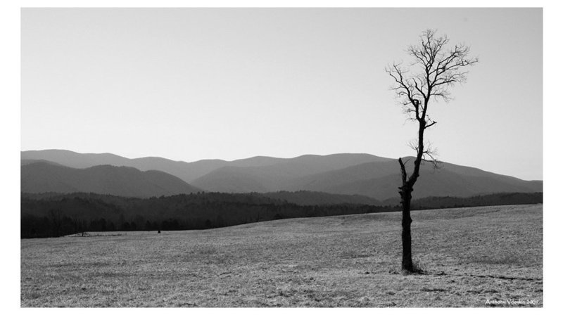 So alone фото превью