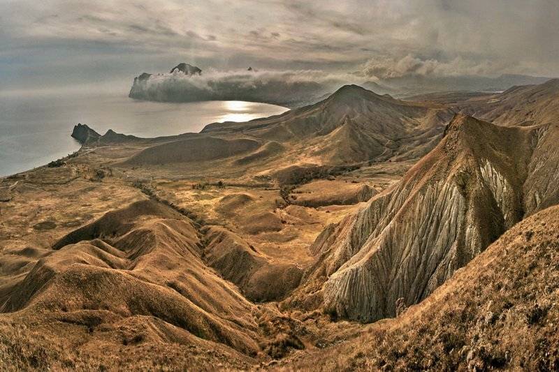 , Андрей  Золочевский