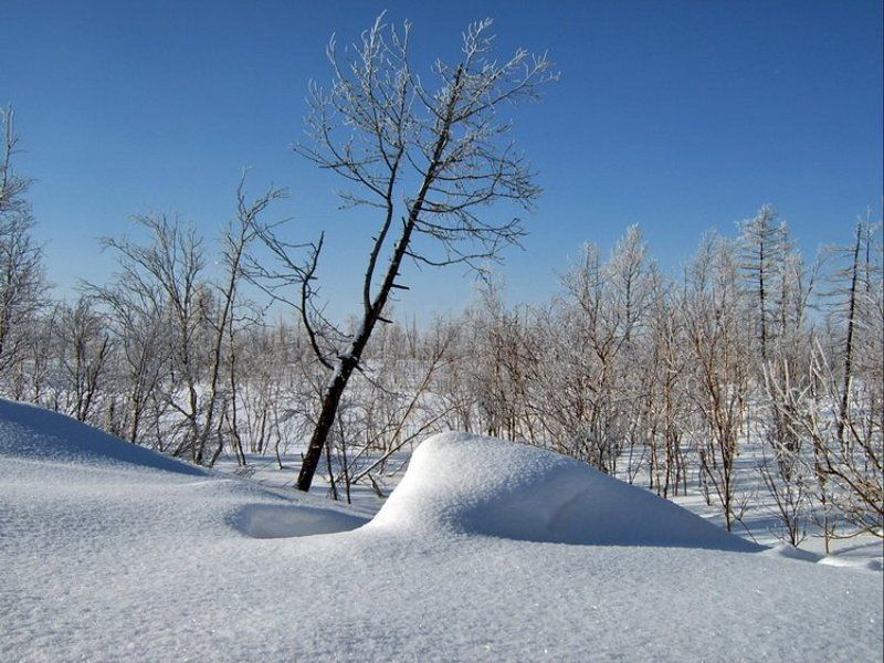 март фото превью