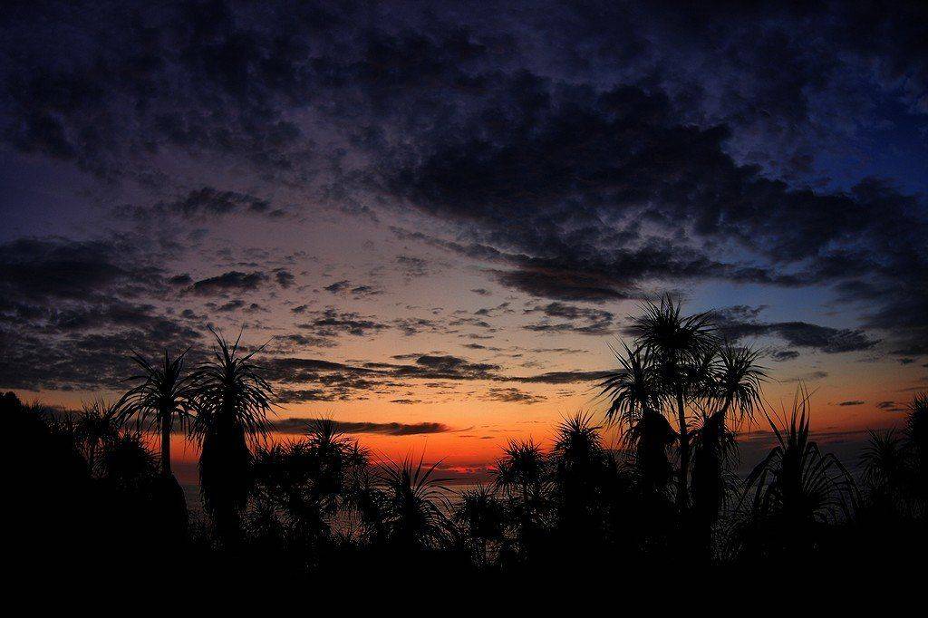 , Андрей Кузьмин