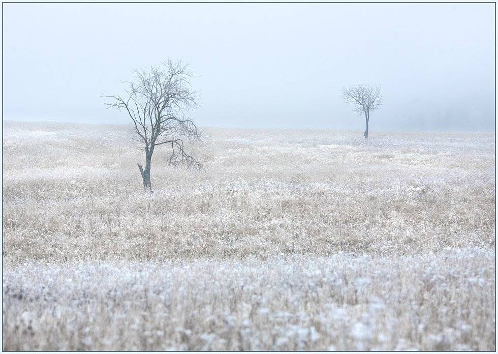 , izh Diletant (Валерий Щербина)