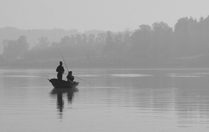 В тумане фото превью