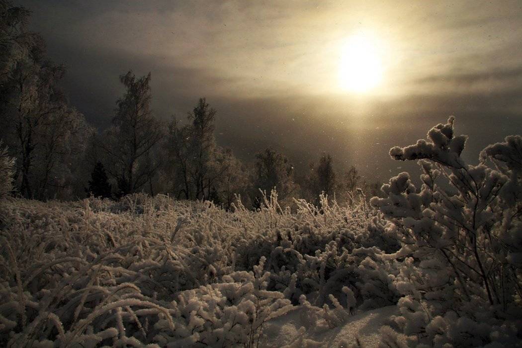 урал, Лихарев Александр