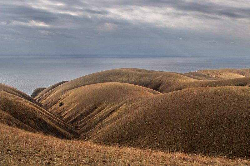 м.Толстый фото превью