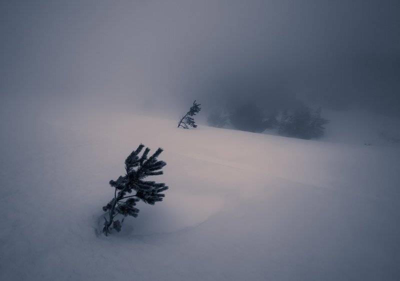 , Андрей  Золочевский