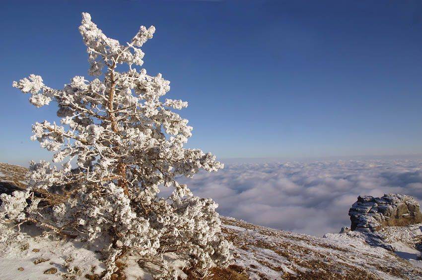 , Юрий Охлопков