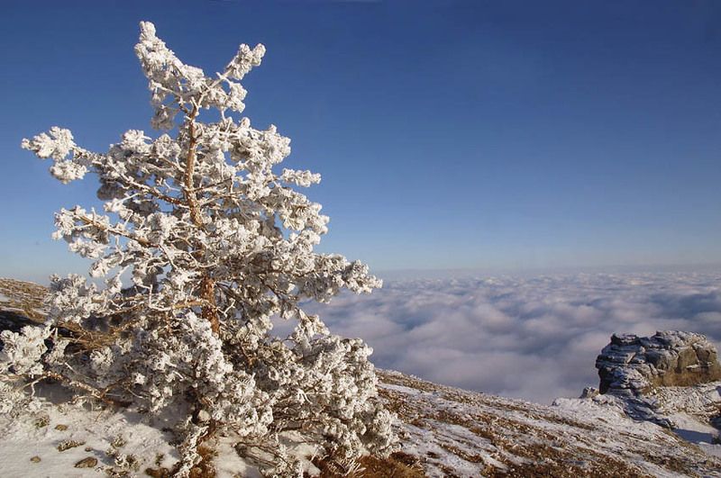 Демерджи.Канун Нового года фото превью