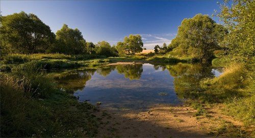 Летнее утро