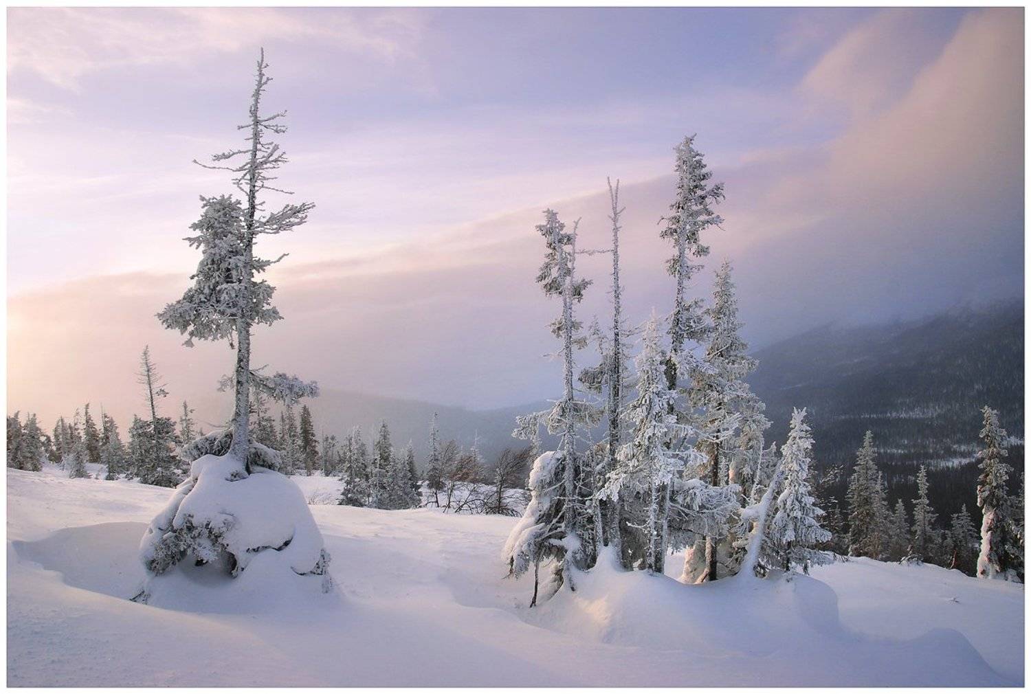 кандалакша, кольский, Kordan