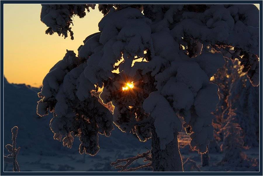 утро, Солодухин Виктор