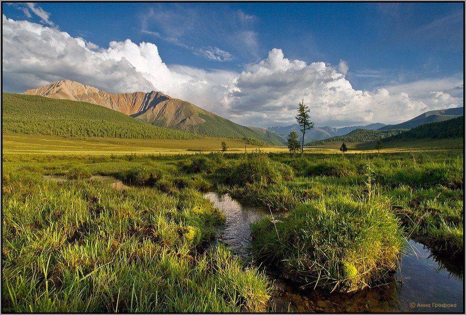 алтай, горы, горный алтай, саргальджук,  каракол, вечер, аня графова, Аня Графова