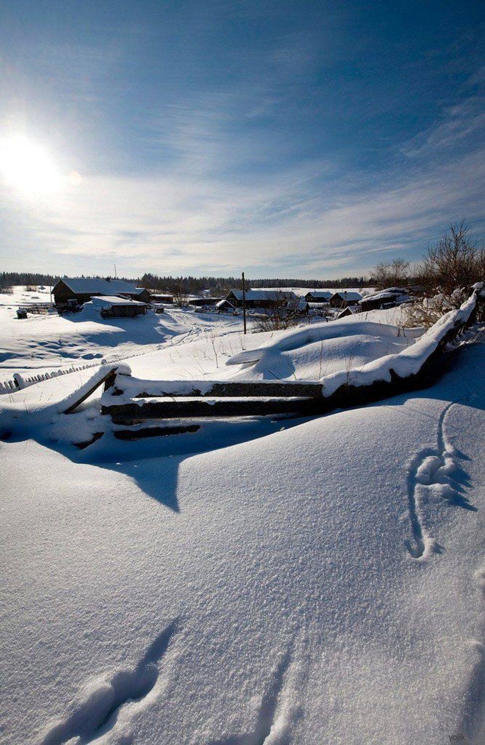 зимняя, сказка, Милый Ёжка