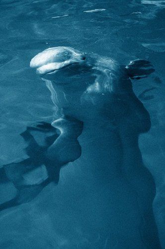 Грани понимания