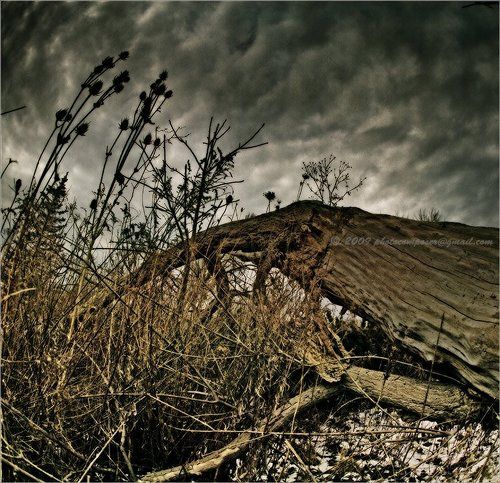 Трудный и тернистый....