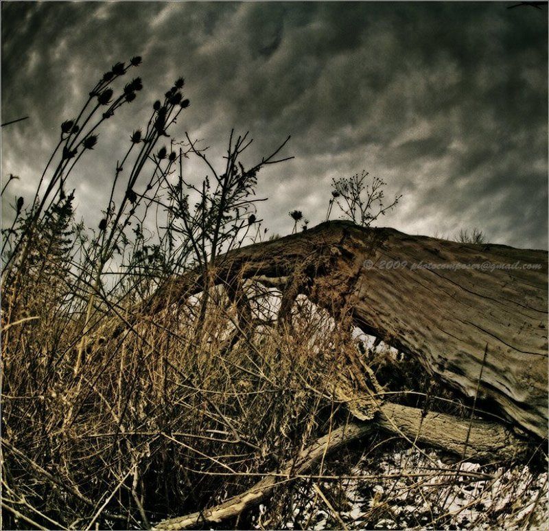 пейзаж, pilgrim, пленка, средний формат, 6х6, киев-60, зодиак-8, kiev-60, zodiak-8 Трудный и тернистый.... фото превью