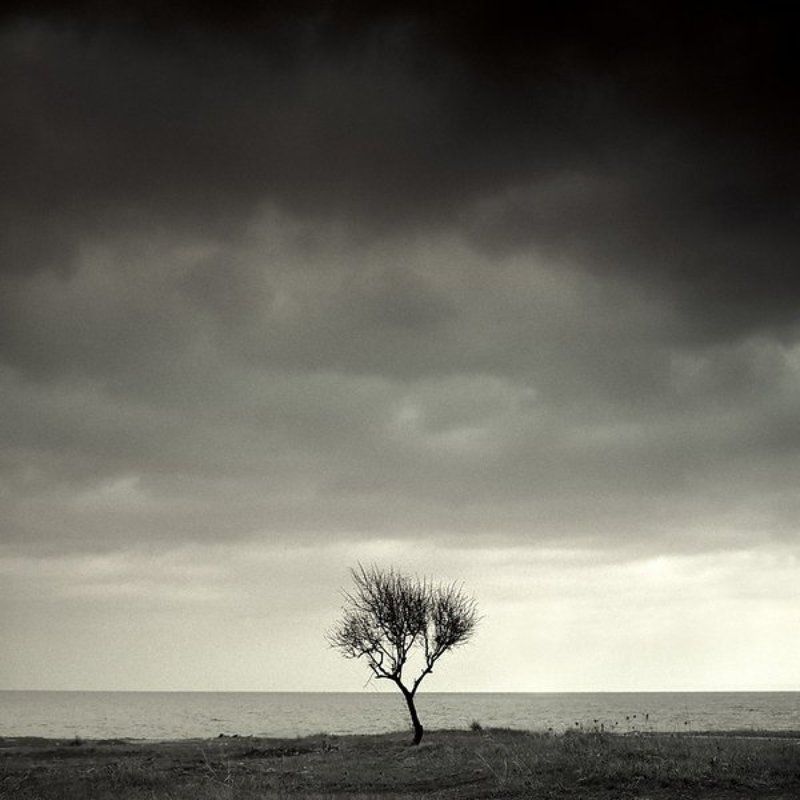 Одиночество фото превью