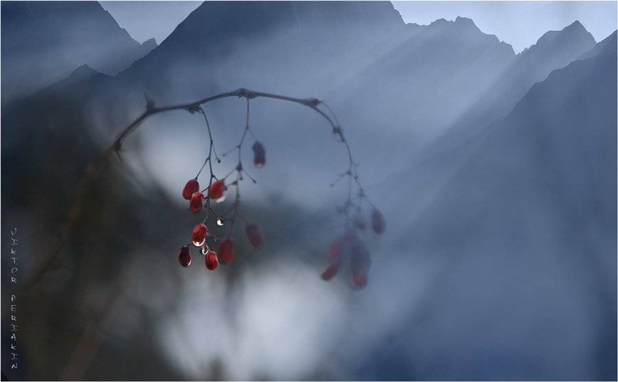 , Виктор Перякин