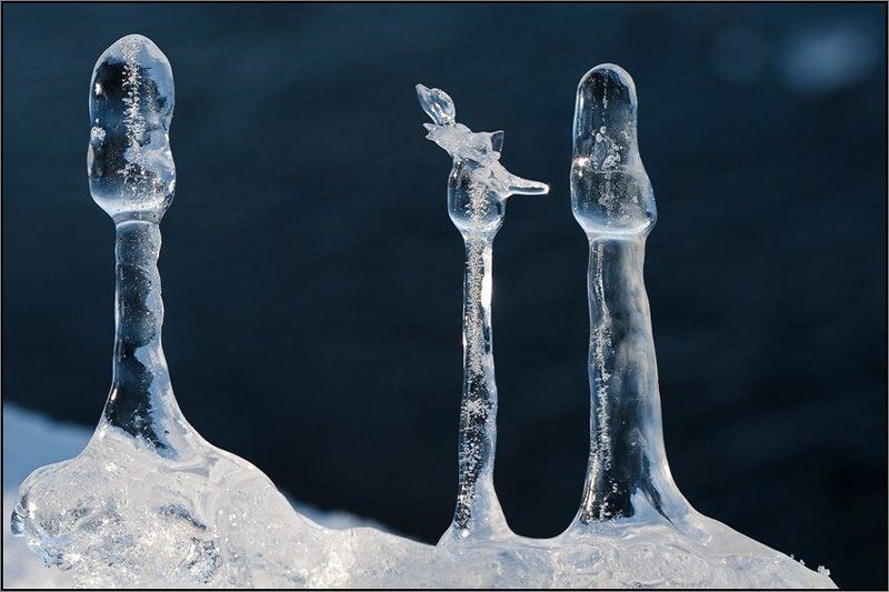 сосульки третий лишний фото превью