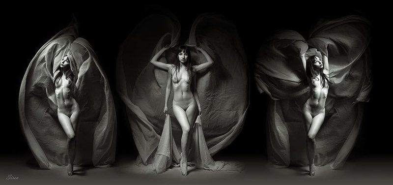 Триптих фото превью