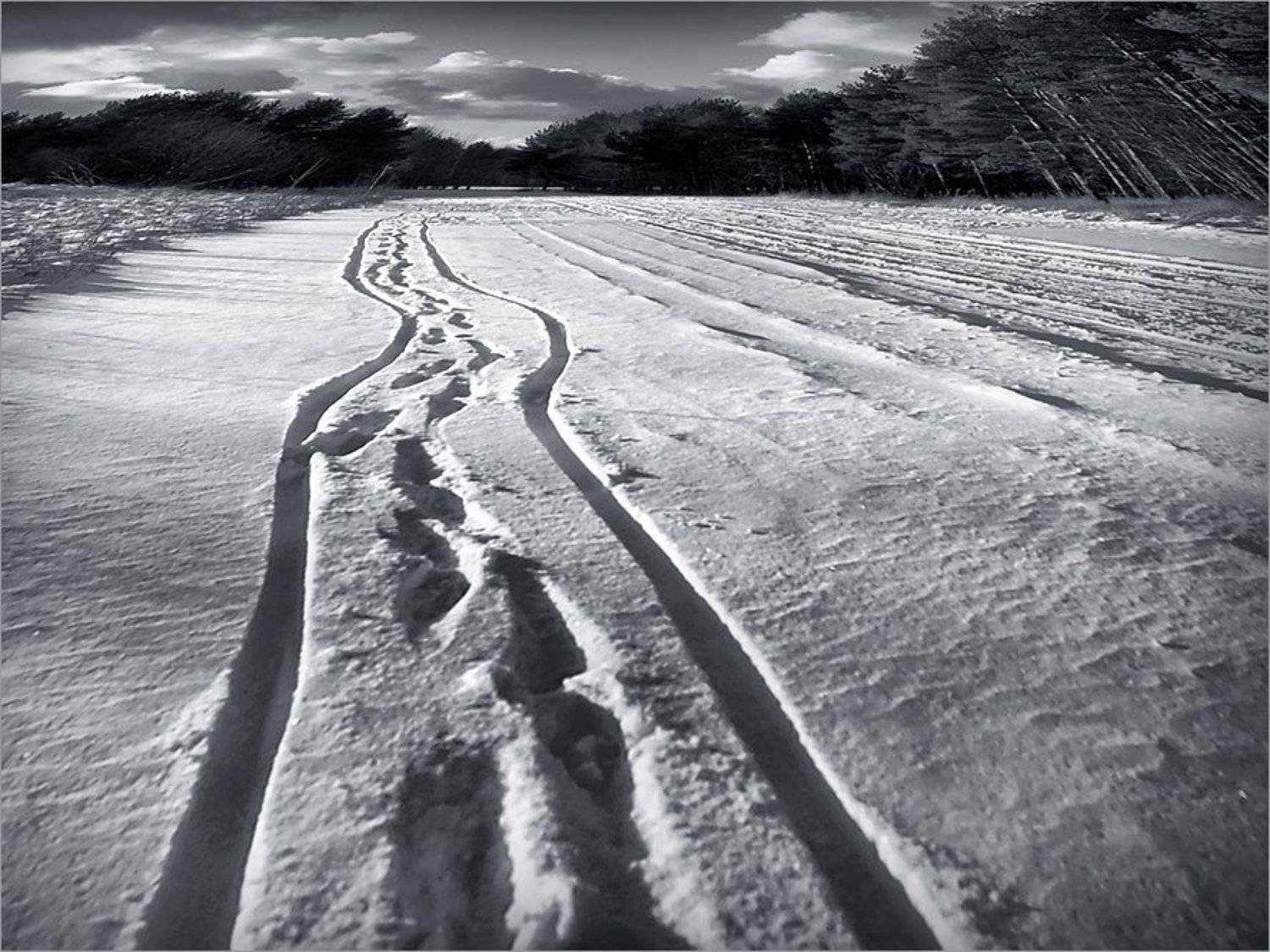 прогулки в любую погоду, коляска, мама, снежный март, 2008, Лариса Лучко