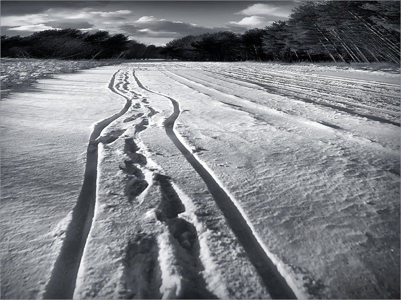 прогулки в любую погоду, коляска, мама, снежный март, 2008 Сежный Март... фото превью