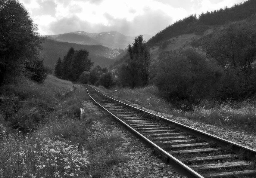 карпаты, природа, пейзаж, Piligrim