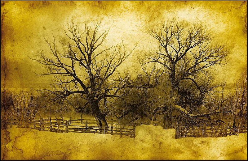 природа, графика ... фото превью