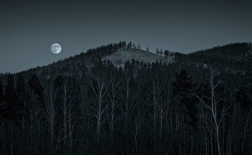 Вечер на Лысой горе