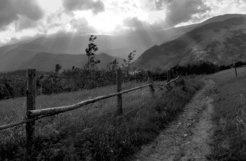 карпаты, природа, пейзаж, горы, панорама, Piligrim