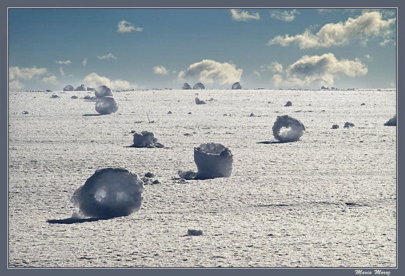 Перекати поле или снежные бублики фото превью